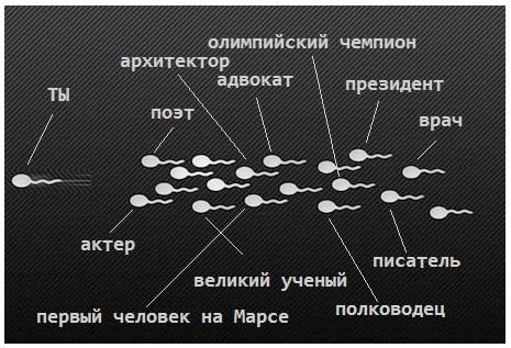 ЗАРОЖДЕНИЕ ЖИЗНИ