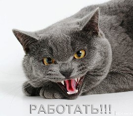БУХГАЛТЕРСКИЙ УЧЕТ