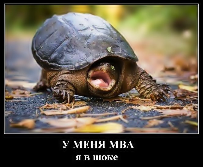 У МЕНЯ MBA, Я В ШОКЕ !