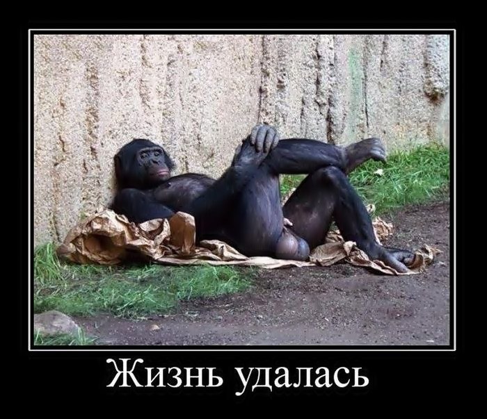 ЖИЗНЬ УДАЛАСЬ !