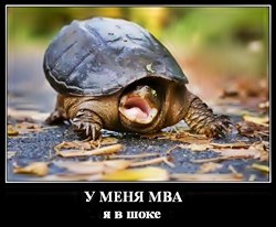ФРИЛАНС
