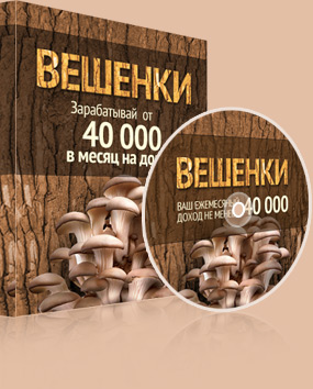 БИЗНЕС ПО ВЫРАЩИВАНИЮ ВЕШЕНКИ