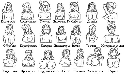 классификатор грудей