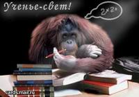 МИНОБРНАУКИ