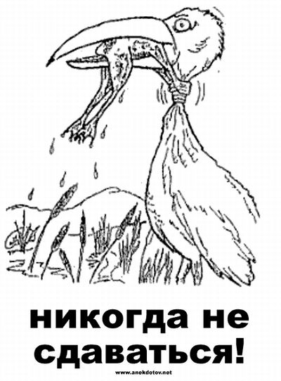 НИКОГДА НЕ СДАВАЙСЯ!