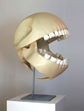 СКЕЛЕТ КОЛОБКА