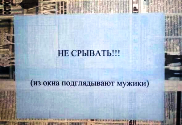 ФОТО ДНЯ : ПОДГЛЯДЫВАЮТ МУЖИКИ
