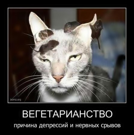 ВЕГЕТАРИАНСТВО