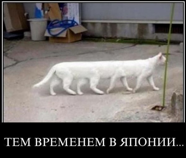 ПОСЛЕДСТВИЯ РАДИАЦИИ