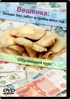 КАК ВЫРАСТИТЬ ВЕШЕНКУ НА ДАЧЕ