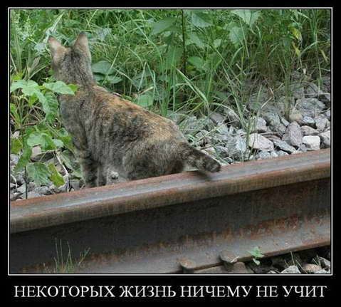 Грабли, Грабли, Граьли...